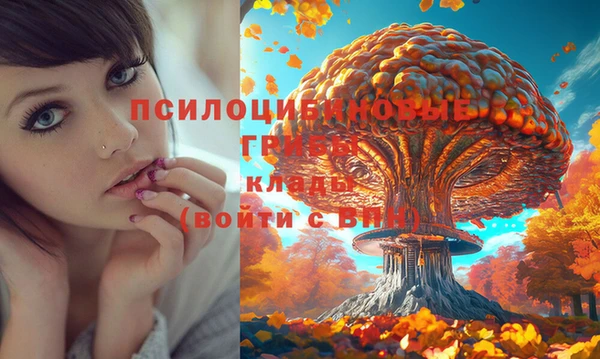 прущая мука Беломорск